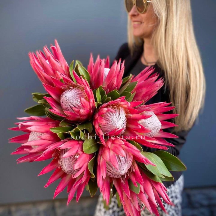 Протея штучно в Химкие