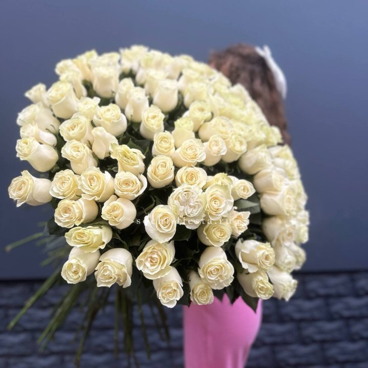 101 белая высокая импортная роза под ленту в Химкие