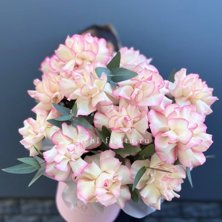 15 Французских роз Джумилия в боксе в Химкие