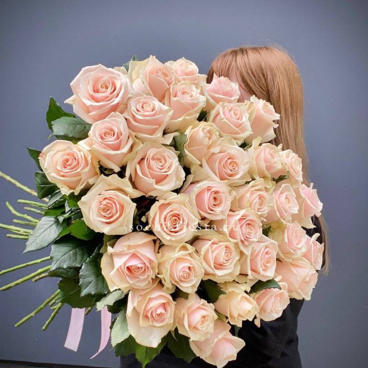 35 кремовых высоких роз в Химкие