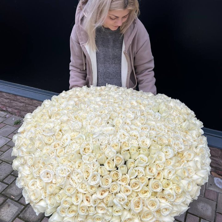 501 белая роза в корзине в Химкие