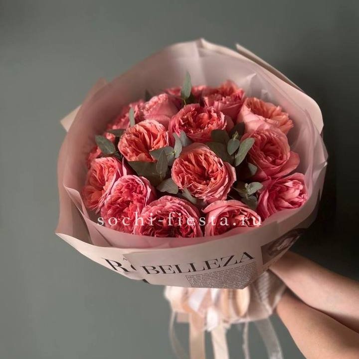 15 Пинк экспрешен в Химкие