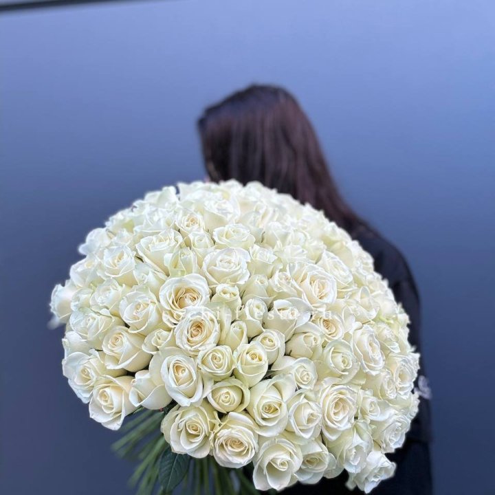 Охапка из 101 белой розы  в Химкие
