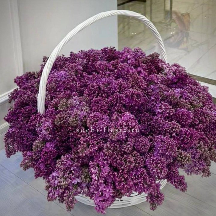 Корзина сирени в Химкие