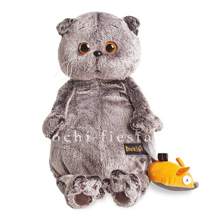 Кот Басик с мышкой в Химкие