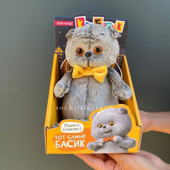 Кот Басик с бабочкой в Химкие