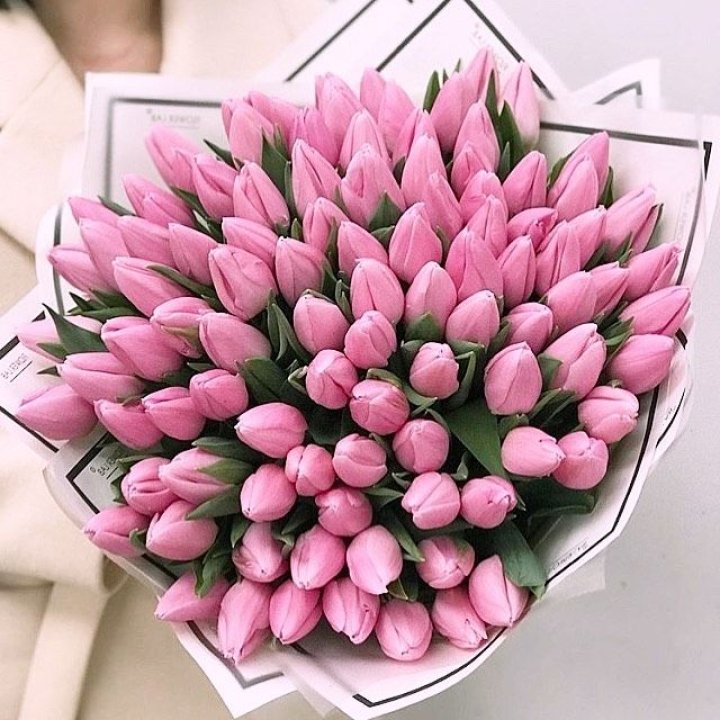 101 розовый тюльпан в белом в Химкие