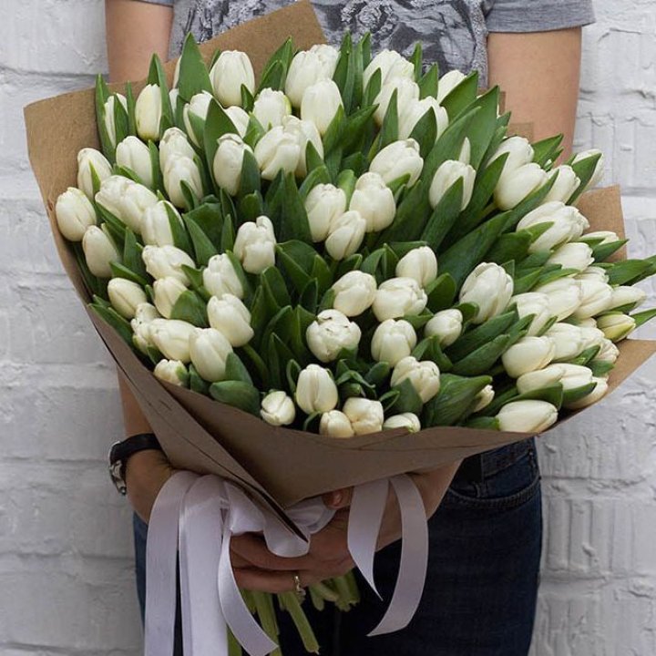 101 тюльпан сноу в Химкие